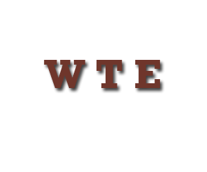 Logo de: WTE
